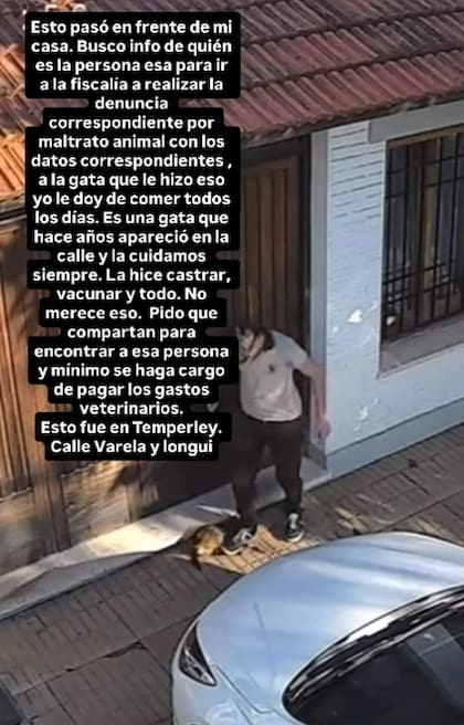 El mensaje de una vecina que se encarga del cuidado de la gata