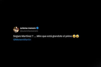 El mensaje de Zulemita Menem para Germán Martínez tras su cruce en Diputados con el presidente de la Cámara baja