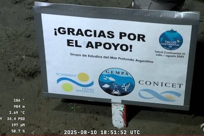 El mensaje original compartido por el Conicet.