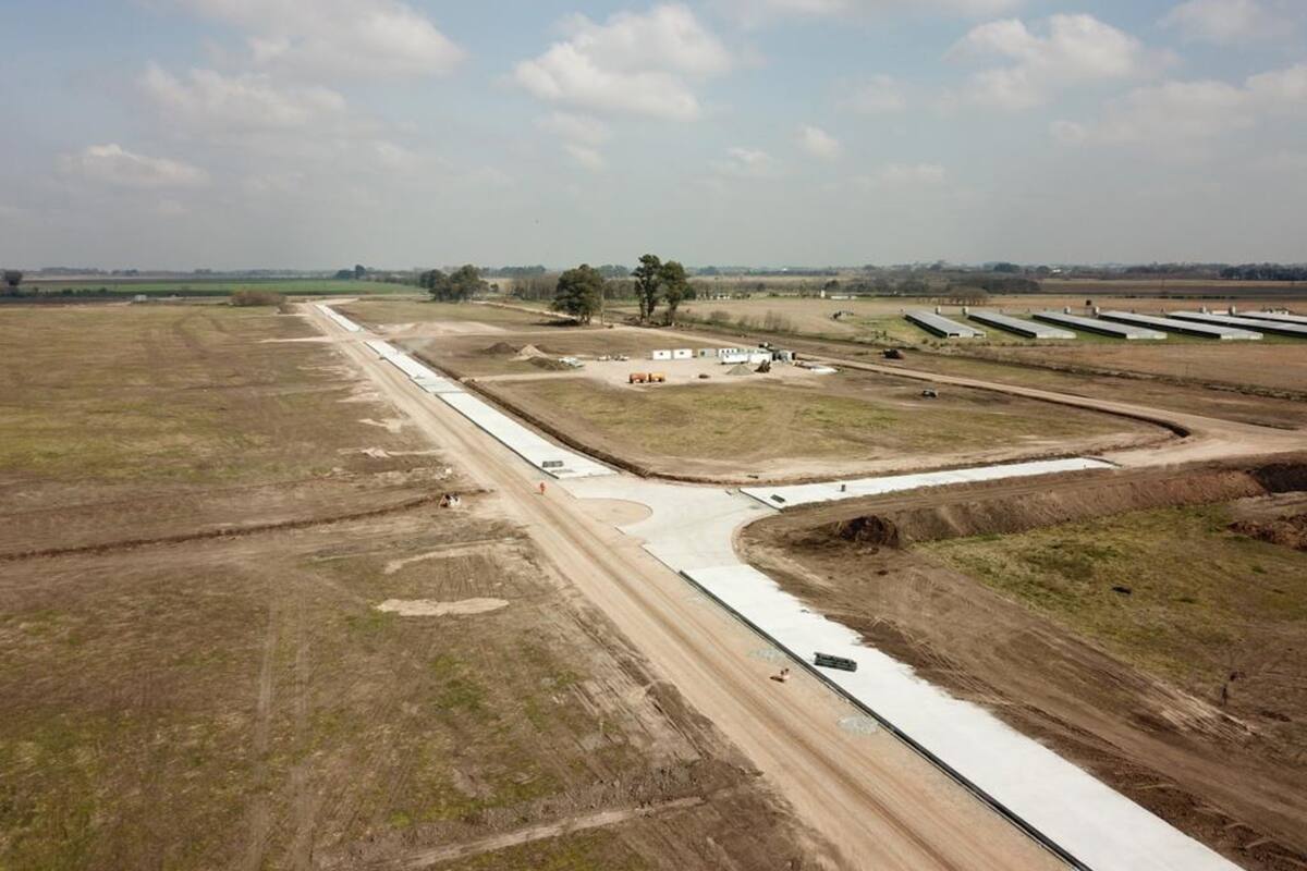 El Mercado Agroganadero de Cañuelas está sobre la Ruta 6