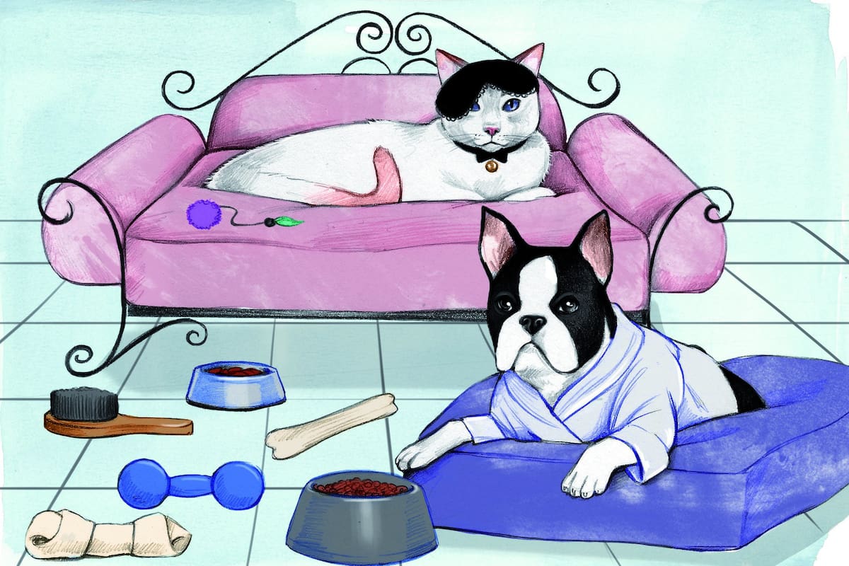 El mercado argentino ya mueve más de $26.000 millones anuales e incorpora cada vez más productos y servicios: desde superalimentos y golosinas bebibles para perros y gatos hasta plataformas para encontrar hogares, hotelería para las vacaciones y obras sociales