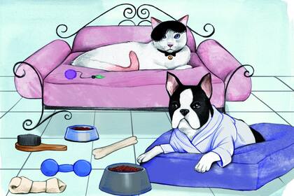 El mercado argentino ya mueve más de $26.000 millones anuales e incorpora cada vez más productos y servicios: desde superalimentos y golosinas bebibles para perros y gatos hasta plataformas para encontrar hogares, hotelería para las vacaciones y obras sociales