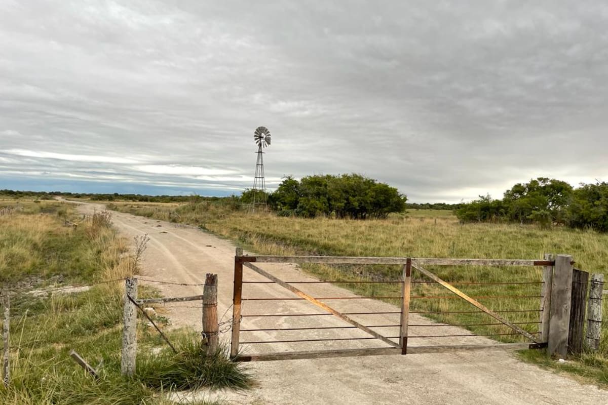 El mercado de campos atraviesa un momento de negocios fluidos, pero dentro de valores estabilizados