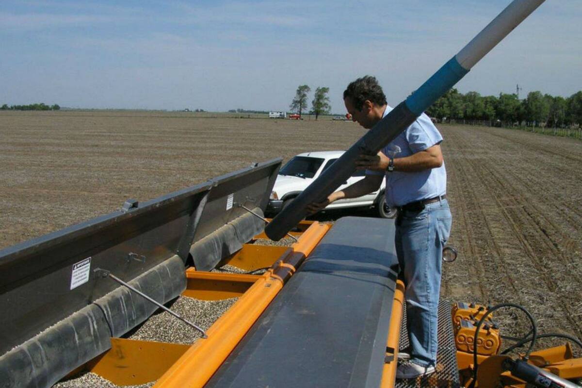 El mercado de fertilizantes alcanzó en 2019 un consumo récord de 4,6 millones de toneladas