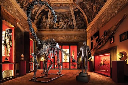 El mercado de fósiles de dinosaurios está en auge gracias, en parte, a una nueva generación de coleccionistas adinerados de Asia.