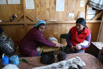 El Mercado de la Estepa Quimey Piuké es una organización sin fines de lucro de artesanos y pequeños productores rurales