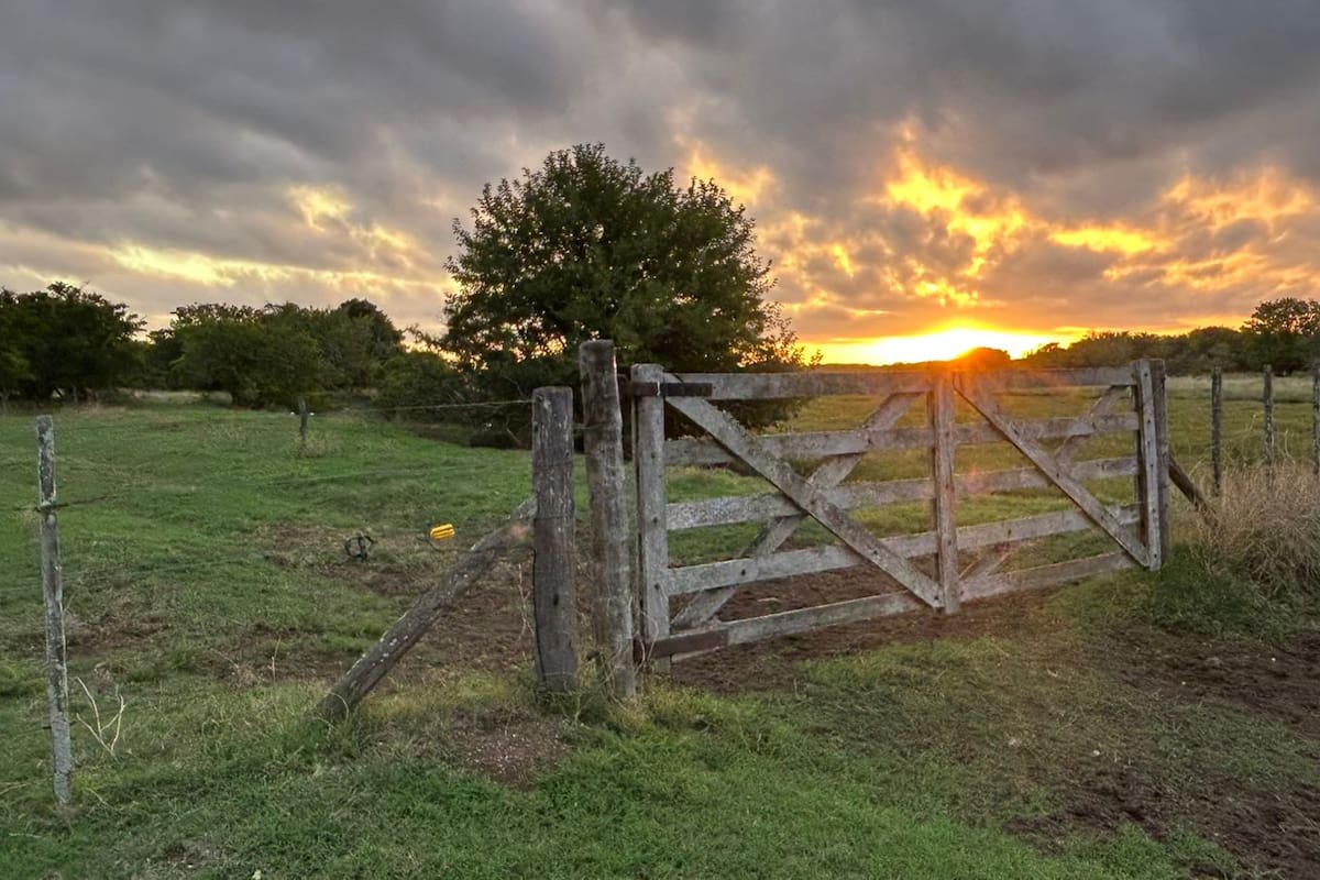 El mercado inmobiliario rural está activo, en pleno movimiento, con un interés creciente tanto en campos agrícolas como mixtos