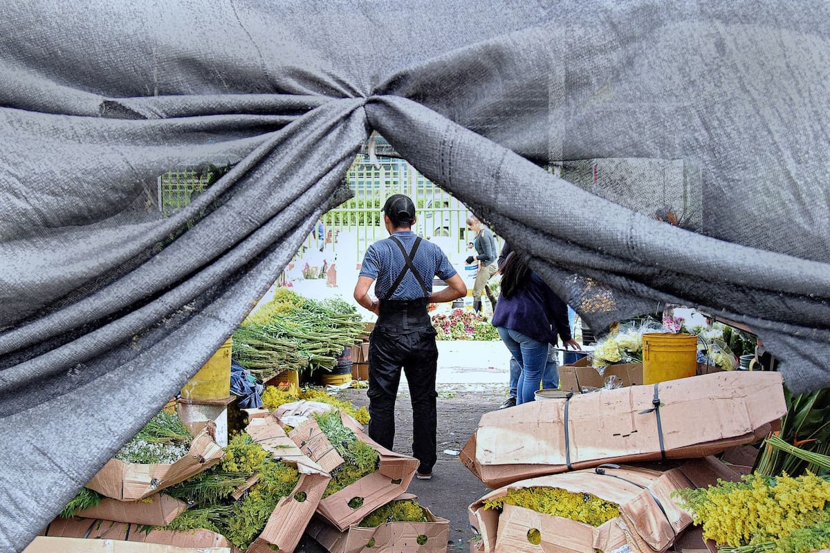 El mercado Paloquemao recibe ese nombre porque según cuenta la historia, había un árbol seco a los alrededores y que por razones que se desconocen, se quemó.