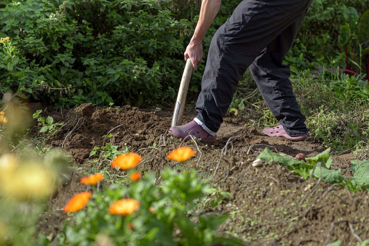 El mes de abril es el indicado para ayudar a las plantas a aumentar sus defensas naturales.