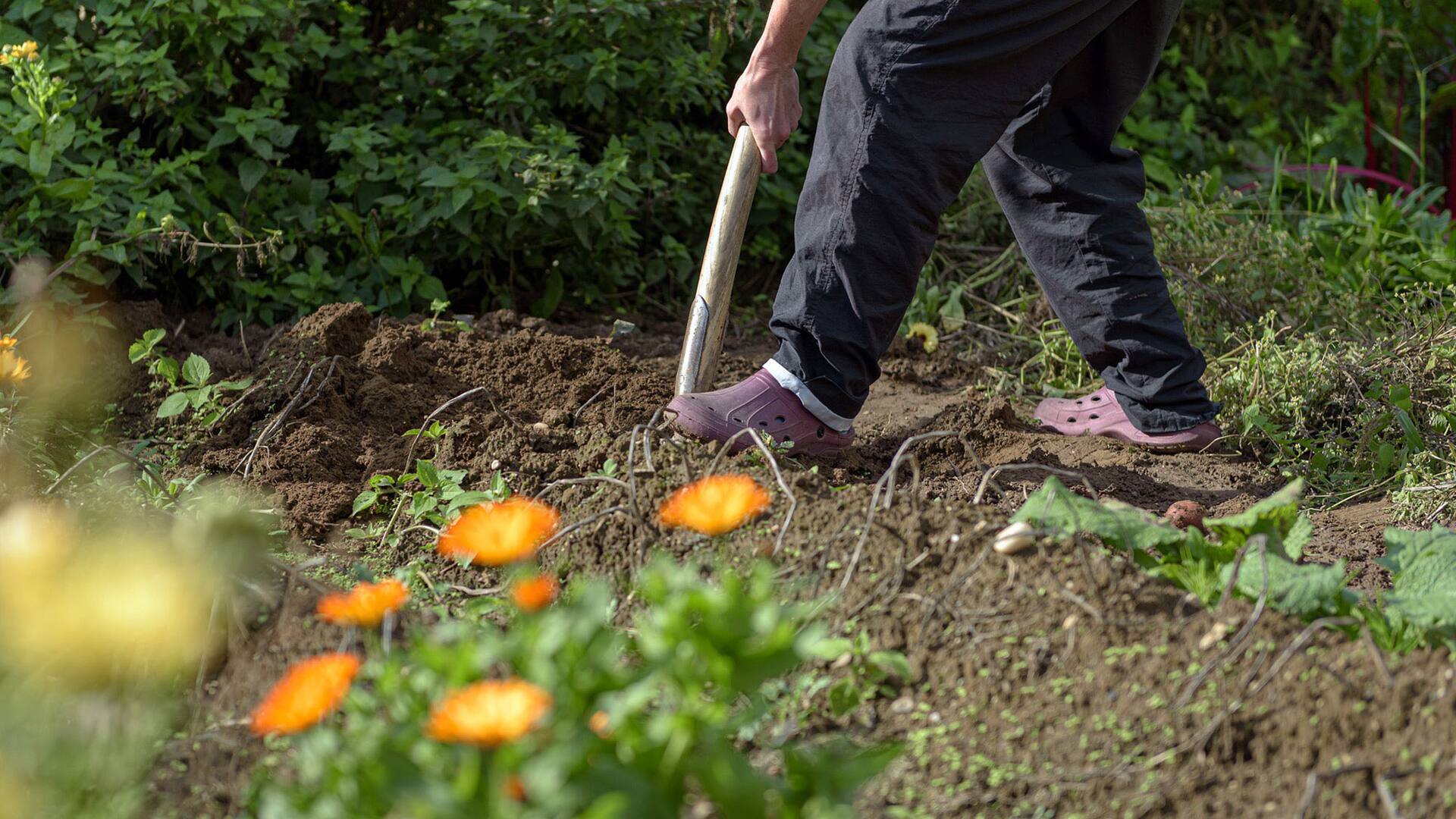 El mes de abril es el indicado para ayudar a las plantas a aumentar sus defensas naturales.