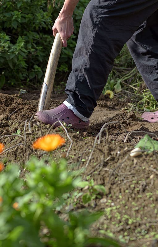 El mes de abril es el indicado para ayudar a las plantas a aumentar sus defensas naturales.