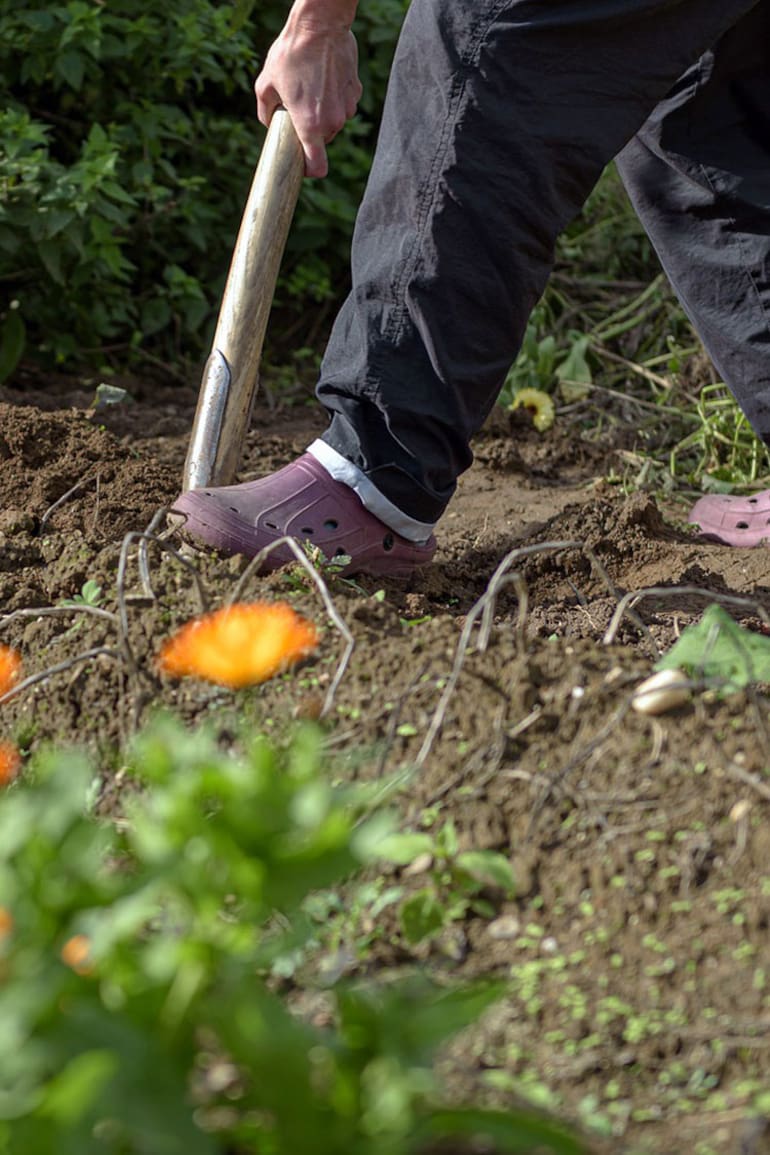 El mes de abril es el indicado para ayudar a las plantas a aumentar sus defensas naturales.