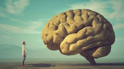 El metabolismo cerebral se vuelve más lento con el paso del tiempo.
