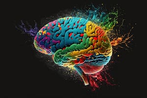 La técnica de 2.500 años que mejora la memoria y podría frenar el deterioro cognitivo