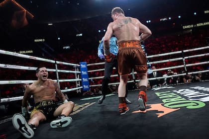 El mexicano Saúl "Canelo" Álvarez derriba al boricua Édgar Berlanga, en una pelea por el título de los supermedianos, el sábado 14 de septiembre de 2024 en Las Vegas (AP Foto/John Locher)