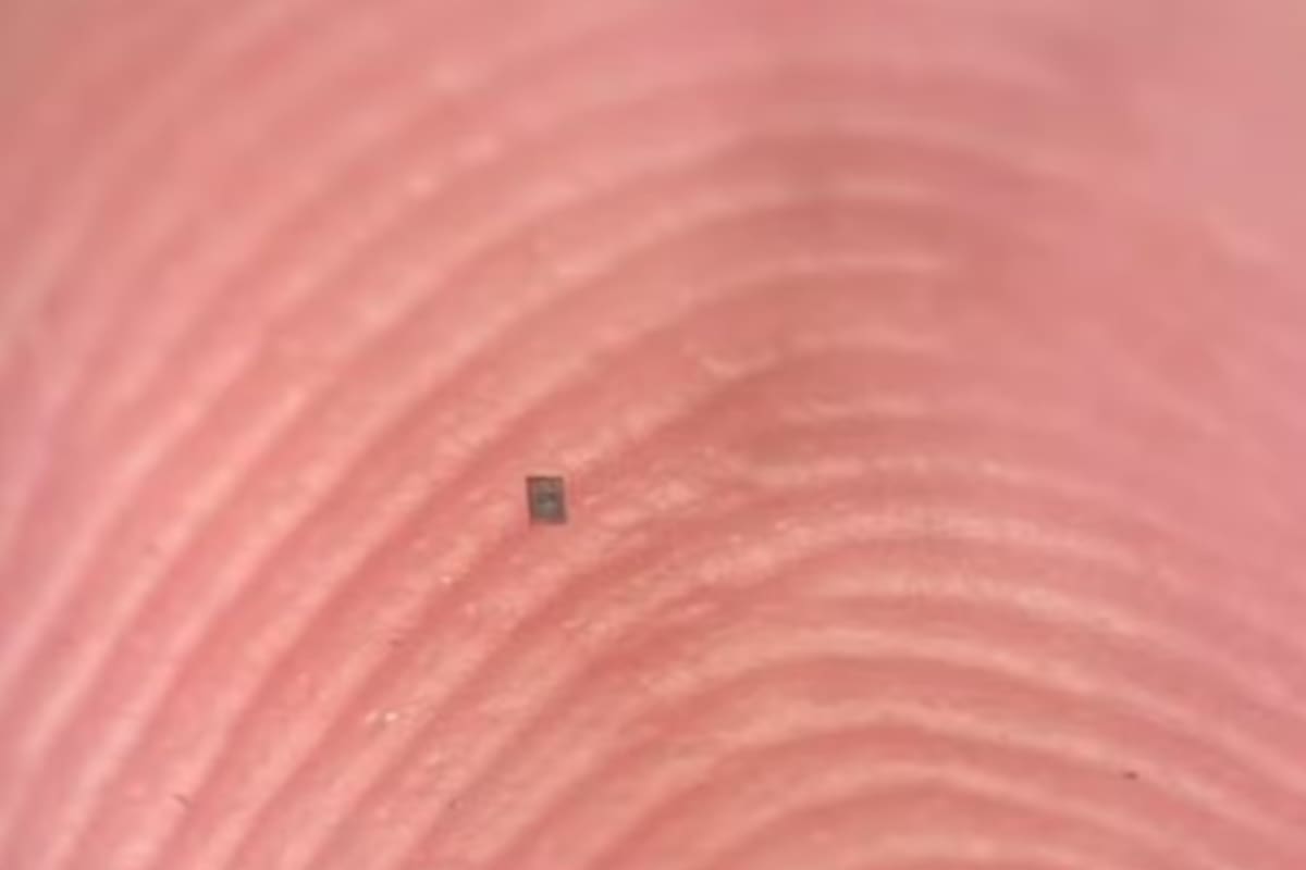 El micro robot que sorprendió al mundo