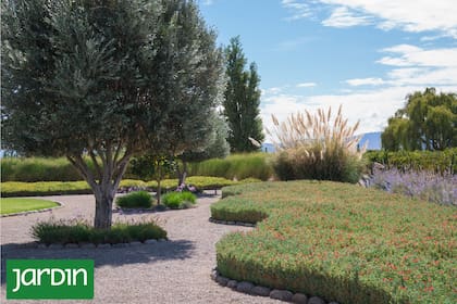 El microclima como proyecto: orientación, densidad vegetal y estratos bien calibrados