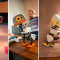Este robot con forma de patito puede patinar y agarrar cosas con el pico