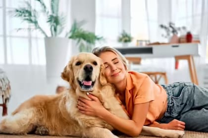 El miedo a la pirotecnia puede ser peligroso