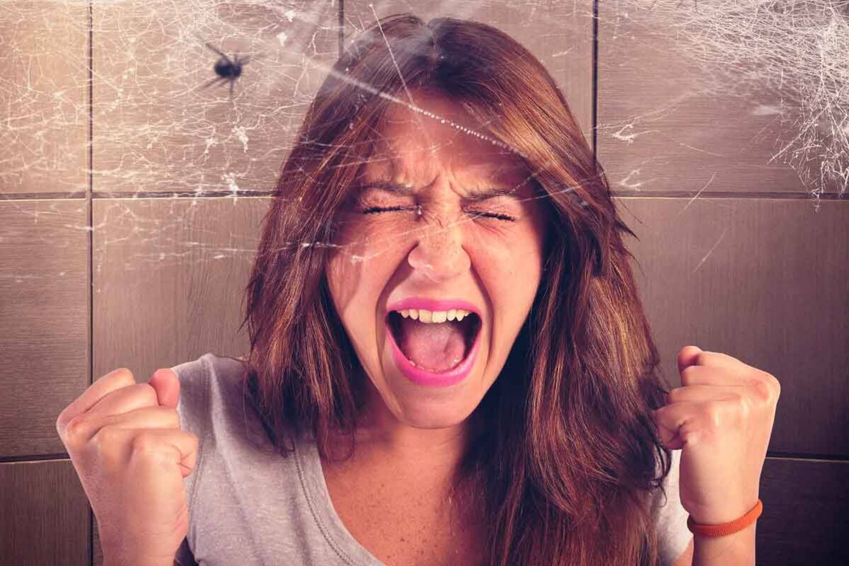 El miedo a las arañas encabeza la lista de las diez fobias más comunes, aunque el preciso orden de éstas sea imposible de determinar