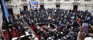 Discapacidad: los cambios que reclaman Pro y la UCR, el punto que no quiere ceder Milei y el proyecto de la oposición
