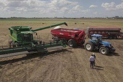 El miércoles, desde las 18.30, una charla con todo sobre la maquinaria agrícola en la plataforma de Expoagro Digital