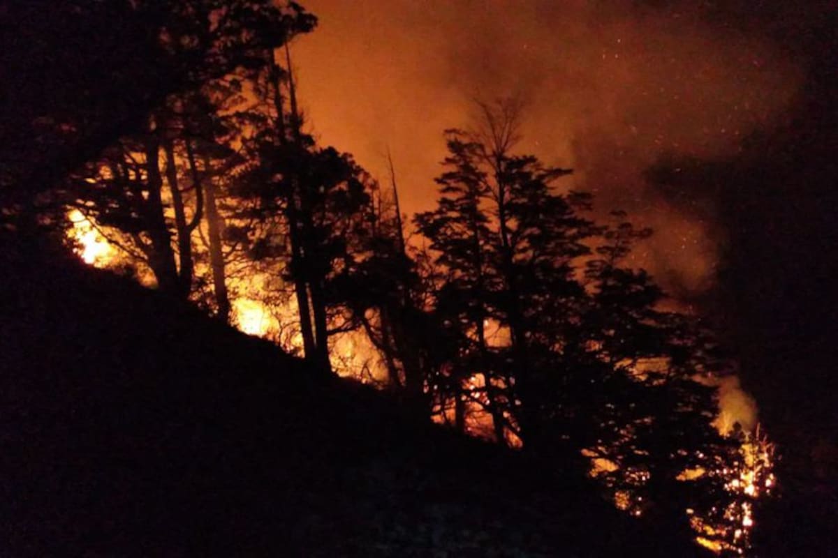 El miércoles por la noche se desató un incendio forestal en el Parque Nacional Los Alerces