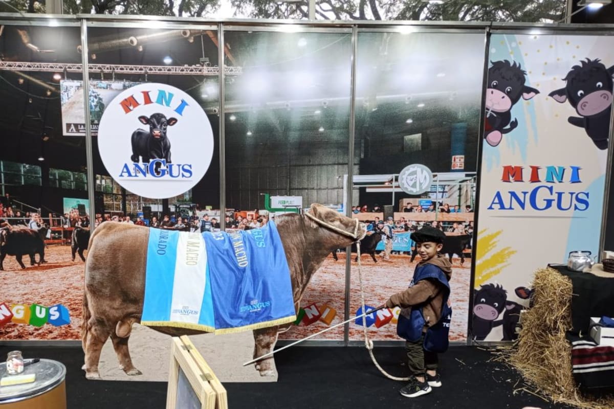 El Mini Angus en la última exposición de otoño