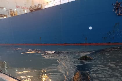 El Ministerio de Medio Ambiente de la provincia de Buenos Aires suspendió preventivamente la operatoria en el puerto.