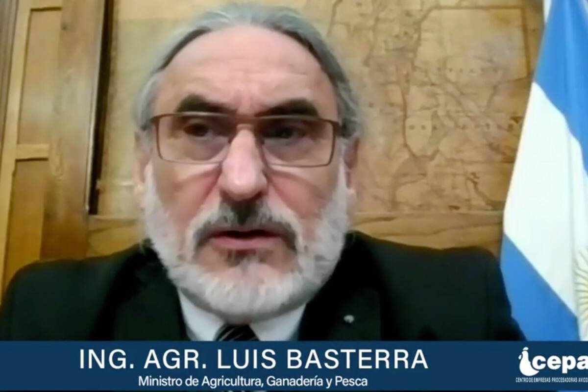 El ministro de Agricultura, Ganadería y Pesca, Luis Basterra