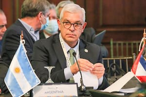 El ministro de Agricultura, Julián Domínguez