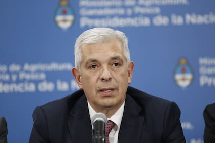 El ministro de Agricultura, Julián Dominguez