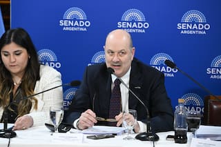 Sturzenegger, sobre la privatización del Belgrano Cargas: “Uno de los cambios más trascendentales”
