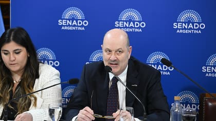 El ministro de Desregulación, Federico Sturzenegger
