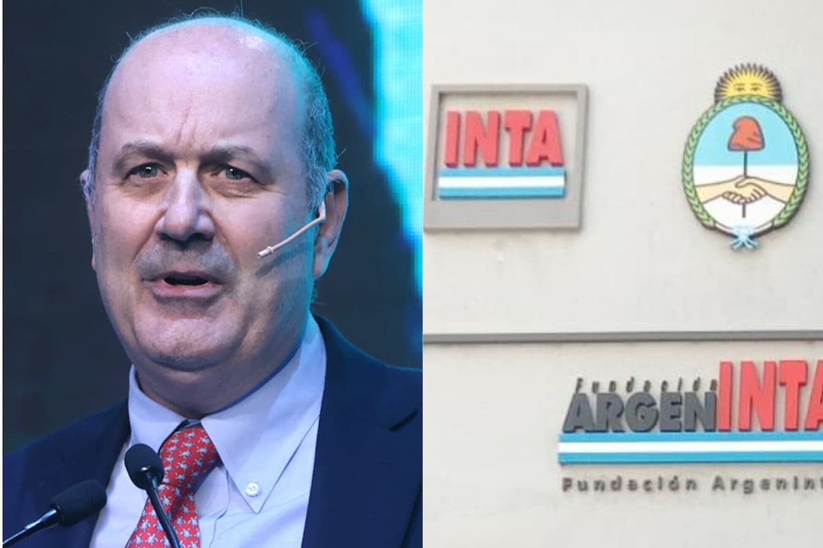 El ministro de Desregulación, Federico Sturzenegger, se refirió a la funcionalidad del INTA