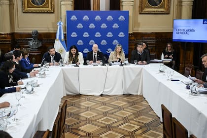 El ministro de Desregulación se presentó en el Senado