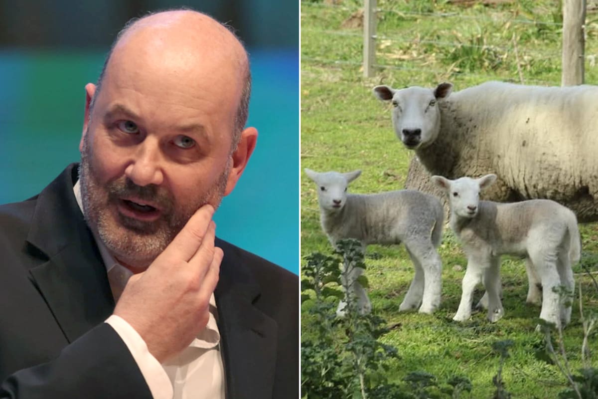 El ministro de Desregulación y Transformación del Estado, Federico Sturzenegger, justificó la derogación de leyes de promoción ganadera en un extenso hilo en su cuenta de X: "Con el presidente Milei estamos empeñados en desarmar ese sistema de destrucción recíproca y cambiarlo por otro con reglas simples e iguales para todos”