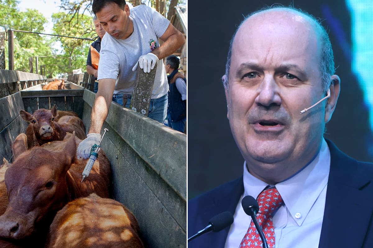 El ministro de Desregulación y Transformación del Estado, Federico Sturzenegger, avaló la decisión del presidente del Senasa, Pablo Cortese