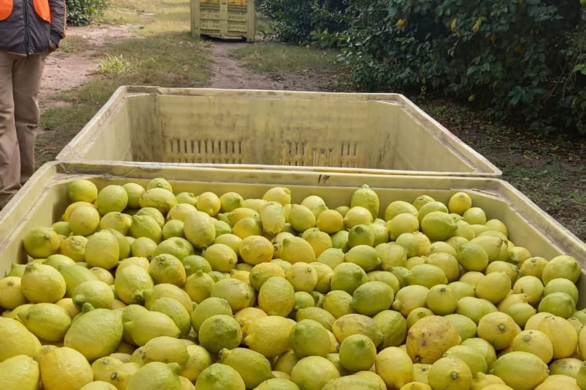 El ministro de Economía, Daniel Abad, sostuvo que “la intención es acompañar al sector privado para que desarrolle su actividad"