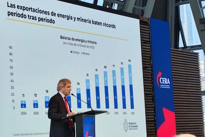 El ministro de Economía Luis Caputo durante el encuentro organizado por la CERA