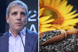 El agro ya exportó por US$17.095 millones y alcanzó un récord en volumen