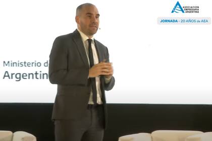 El ministro de Economía, Martín Guzmán, en su exposición en AEA