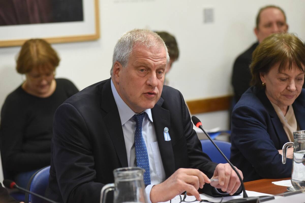 El ministro de Educación, Jaime Pereczyk, este miércoles en la comisión de Educación de Diputados