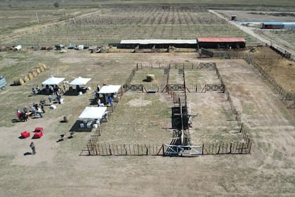 El ministro de Producción, Rodolfo Vargas Arizu, puso en valor el funcionamiento de este espacio. “Era un reclamo histórico de General Alvear. Hoy contamos con un corral de muy buena calidad gracias a la inversión privada, lo que representa una solución concreta para los ganaderos