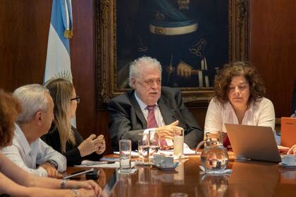 El ministro de Salud, Ginés González García, y Carla Vizzotti, secretaria de Acceso a la Salud, al frente de una de las primeras reuniones del comité, en marzo. Desde que empezó la cuarentena, Vizzotti es una de las caras visibles del comité.
