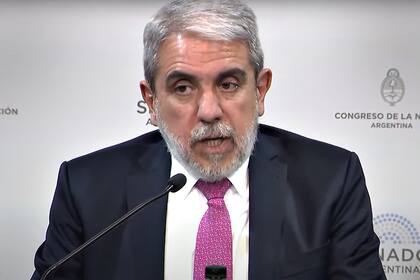 El ministro de Seguridad, Aníbal Fernández