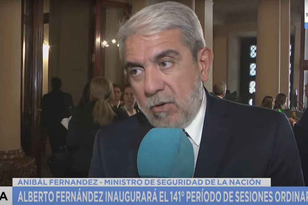 El ministro de Seguridad, Aníbal Fernández