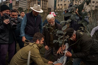 El ministro del Agro de Misiones, Facundo Sartori (campera verde oliva) junto a productores en el Obelisco