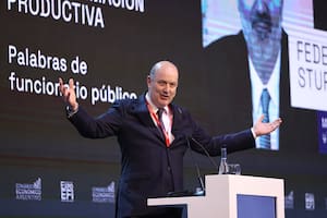 El ministro Federico Sturzenegger adelantó una iniciativa para empresas gestionadas íntegramente por inteligencia artificial