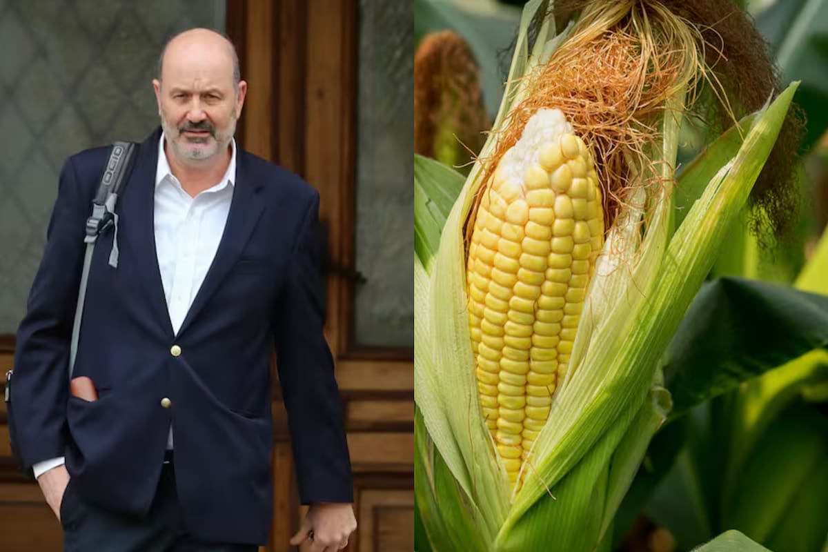 El ministro Federico Sturzenegger se refirió a la resolución que simplificó trámites para la industria semillera